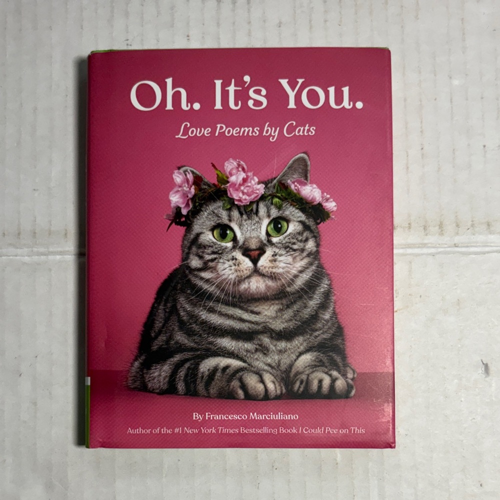 Chronicle Books Oh. It's You. – Pink Cover with Cat Illustration